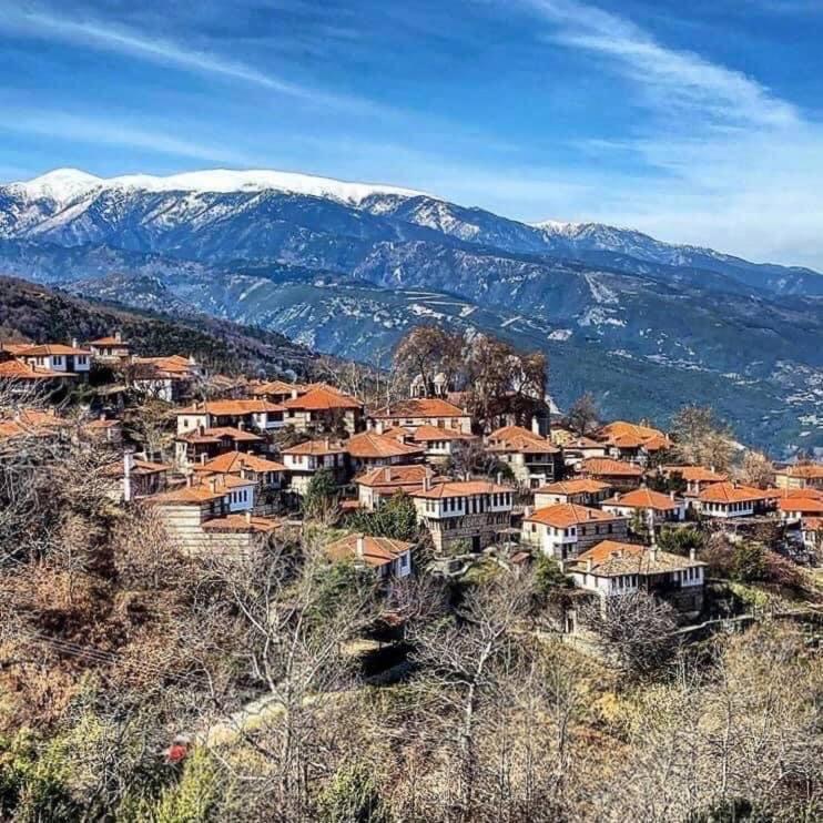 Ξενώνας Τ'Αρχοντικό ปาเลออส ปานเตเลมอน ภายนอก รูปภาพ